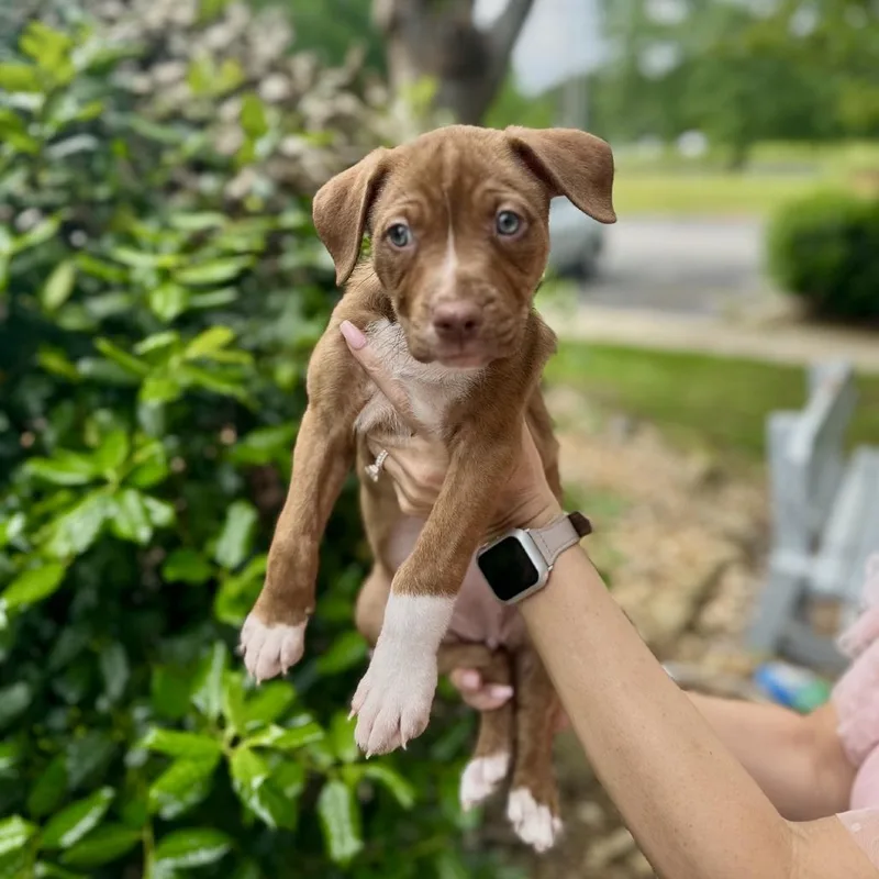 Sarah Jessica Barker thumbnail 2