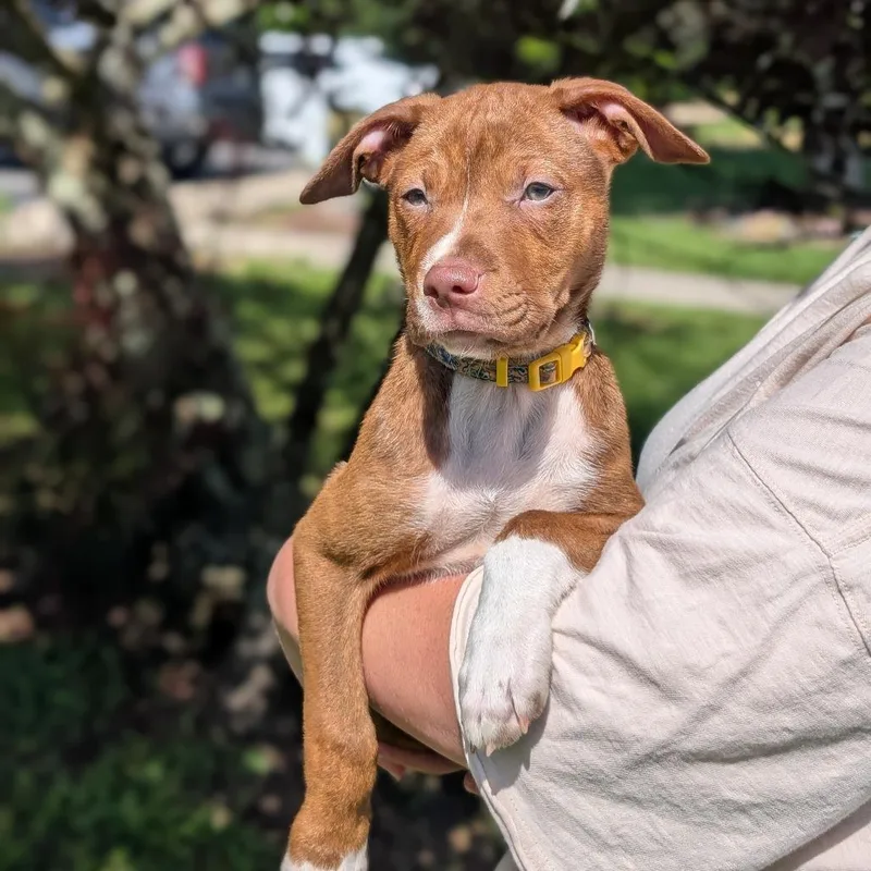 Sarah Jessica Barker thumbnail 3