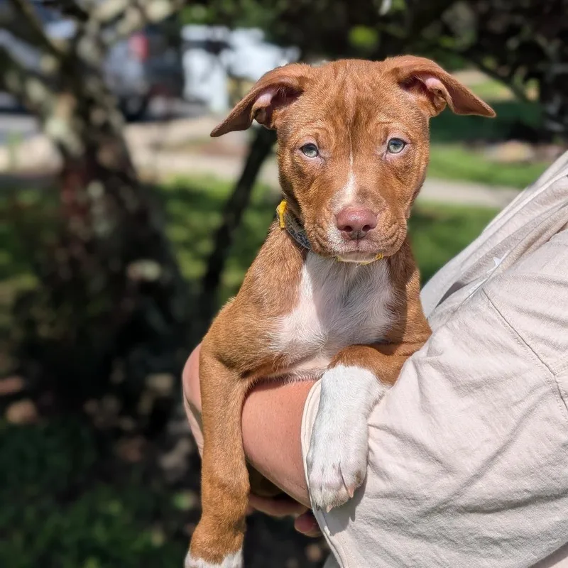 Sarah Jessica Barker thumbnail 4