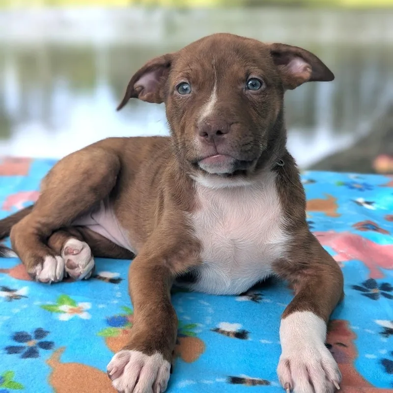 Sarah Jessica Barker thumbnail 5