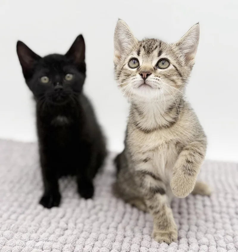 Milli Is A Mushball! thumbnail 4