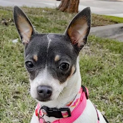Lexi thumbnail 3