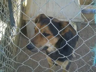 Bronsonmister thumbnail 2