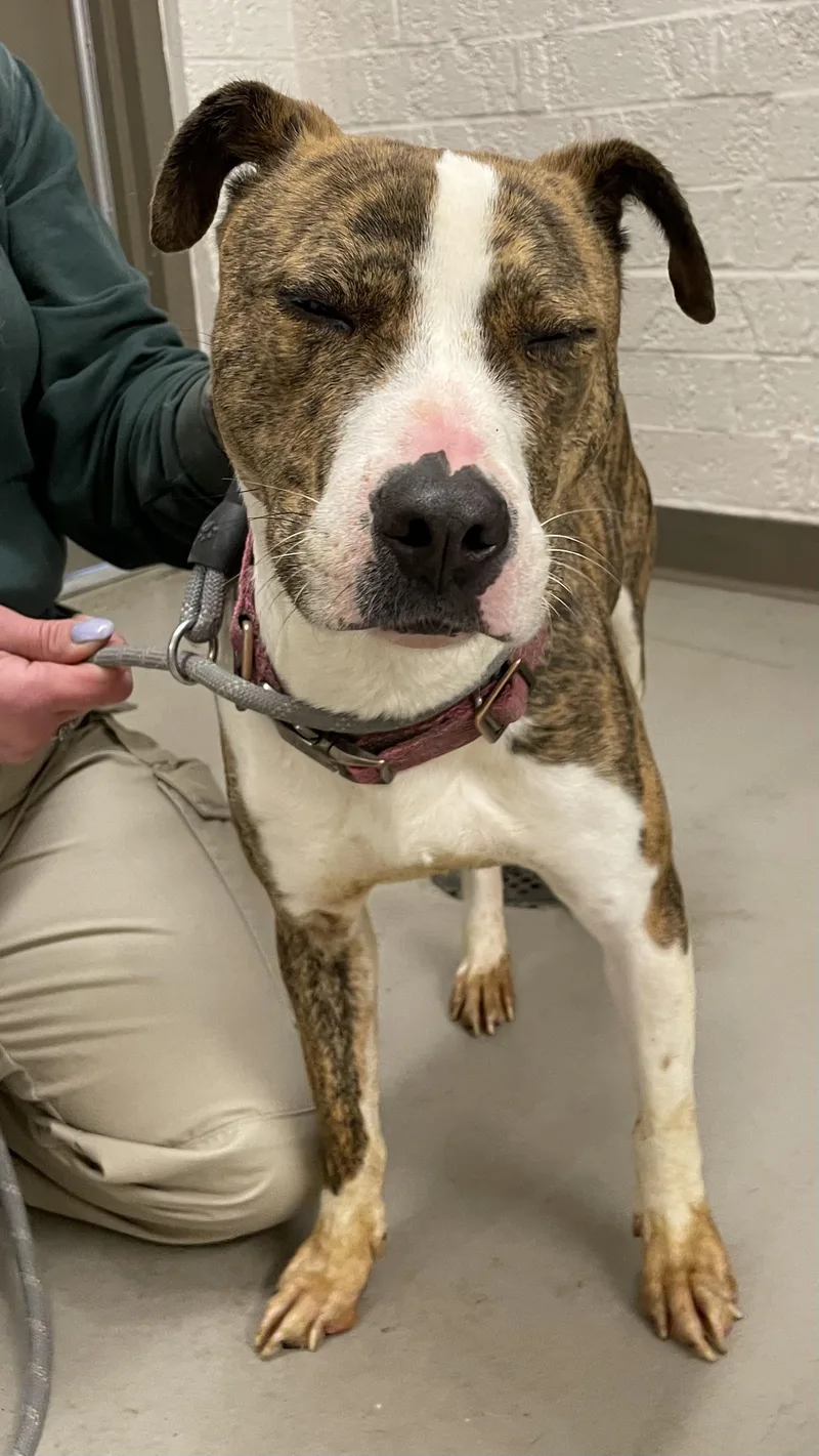 Duchess Hold thumbnail 3