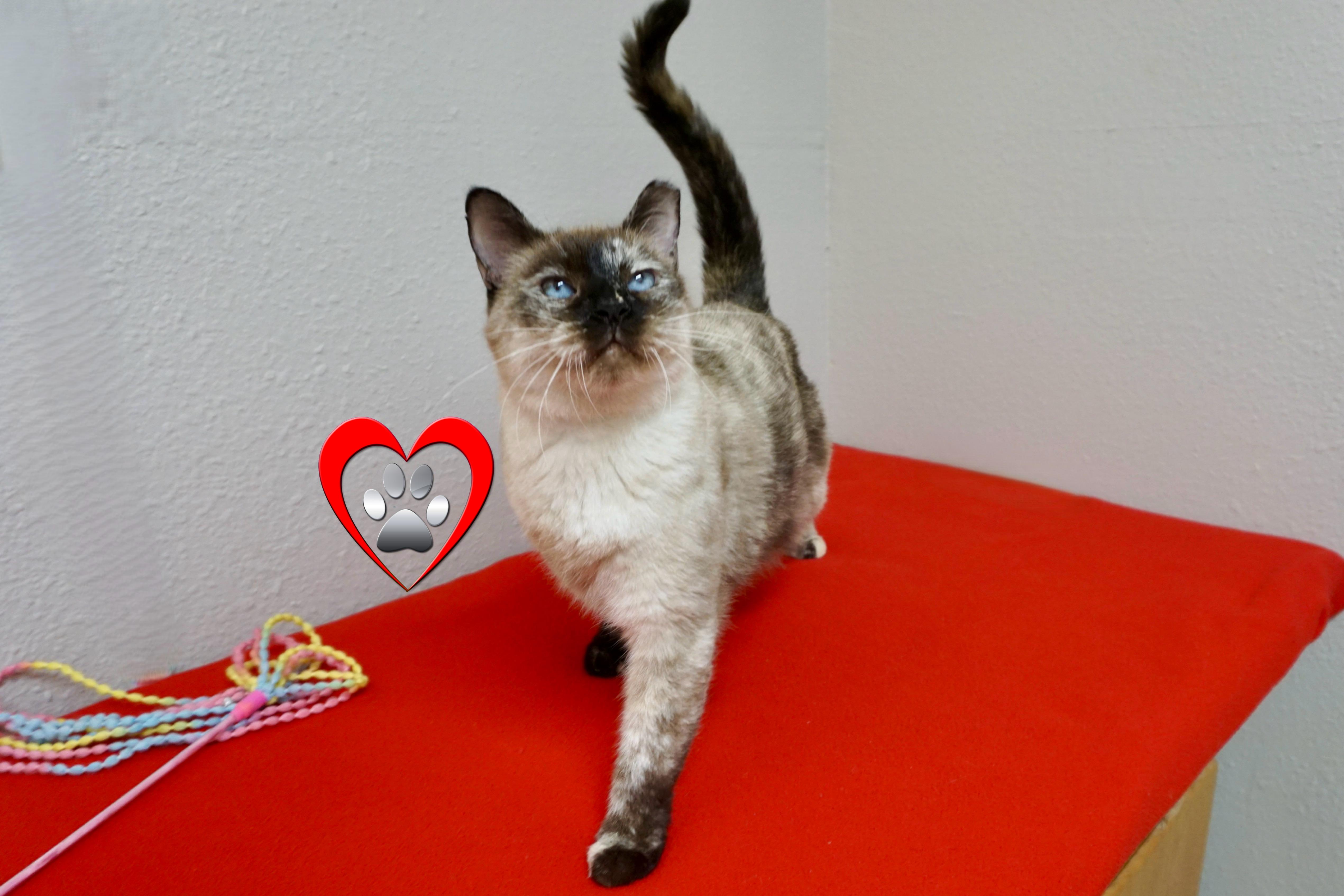 Barbara thumbnail 2