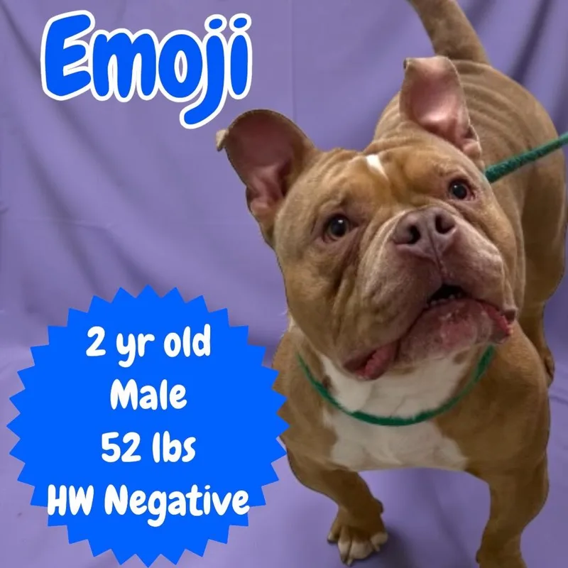 Emoji thumbnail 2