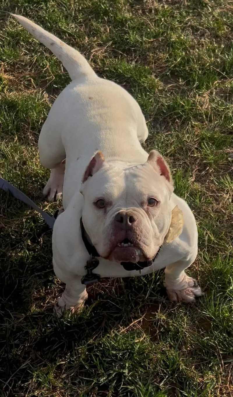 Tinkerbell thumbnail 2