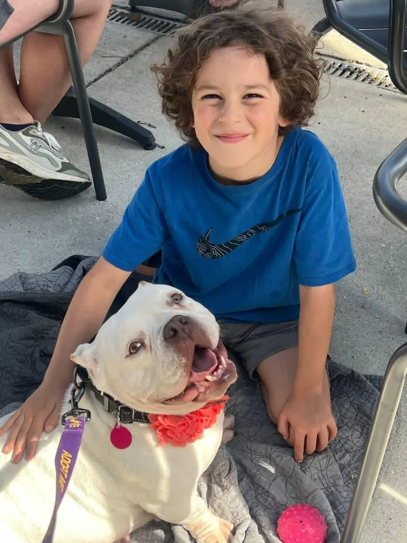 Tinkerbell thumbnail 3