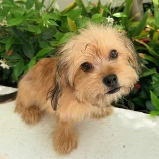 Sebastian