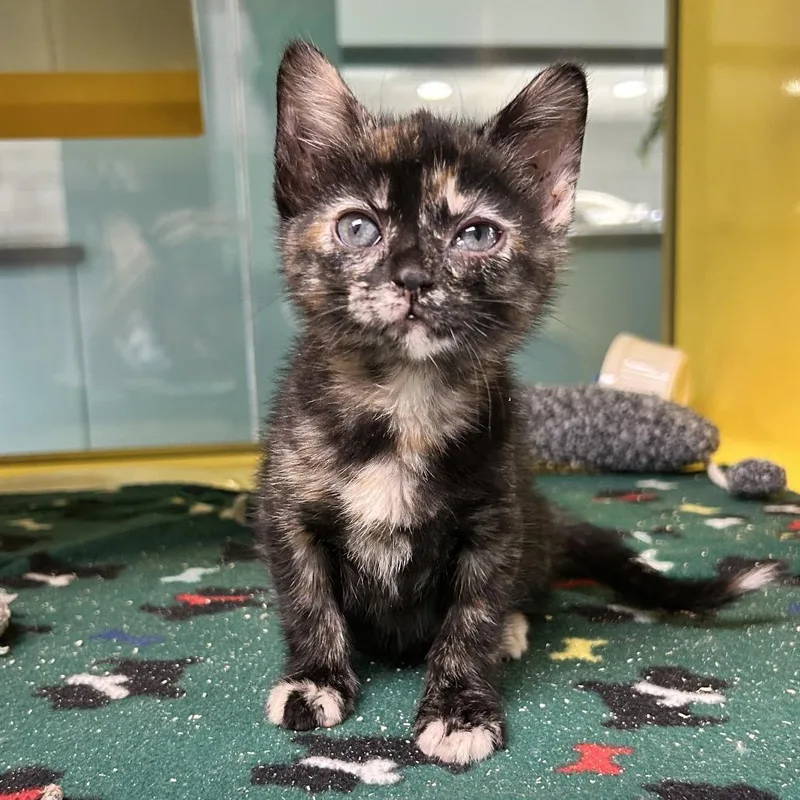 Tina