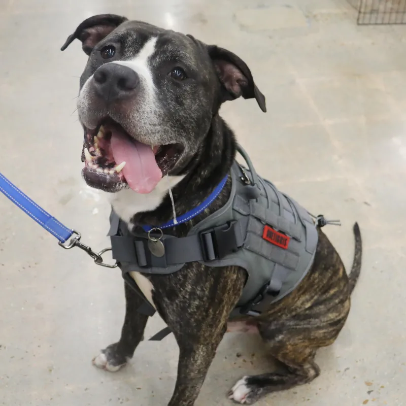 Bruce  Loving And thumbnail 2