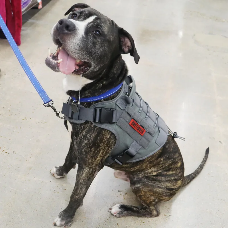 Bruce  Loving And thumbnail 3