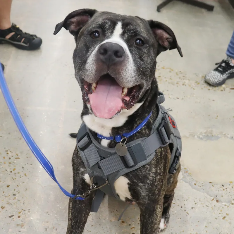 Bruce  Loving And thumbnail 5