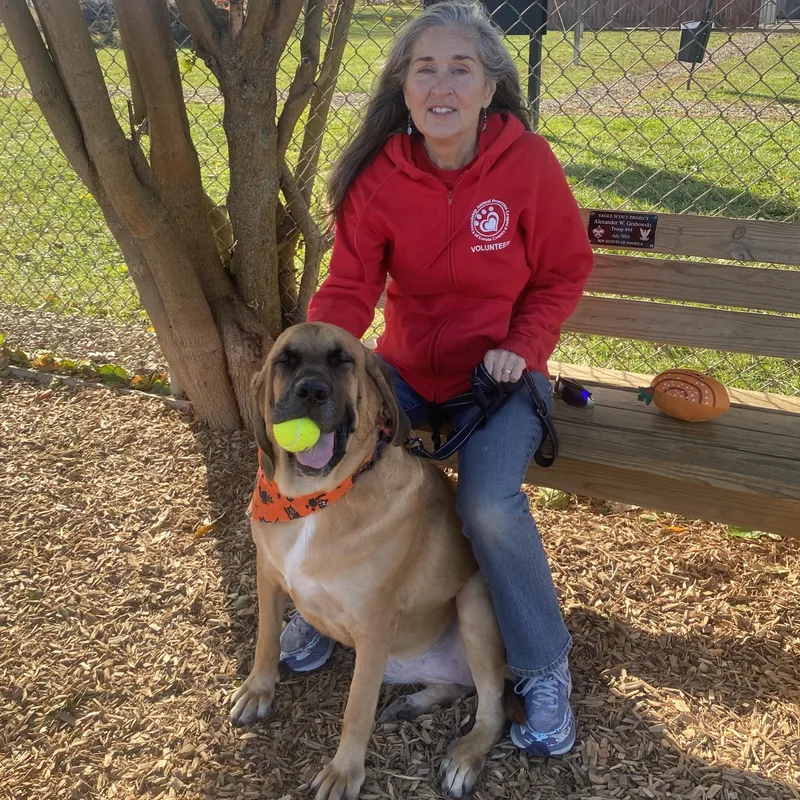 Koda Ask To Meet!! thumbnail 6