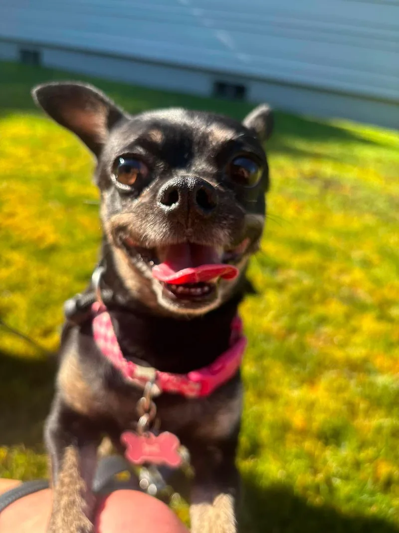Sophie thumbnail 2