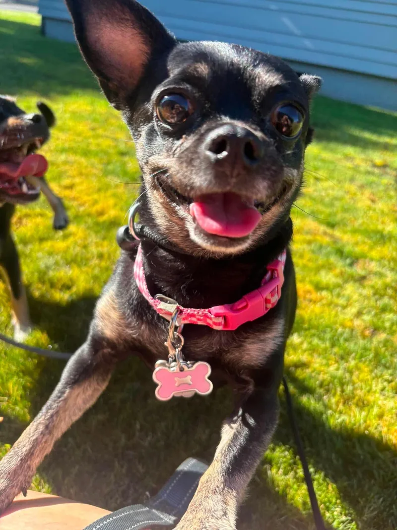 Sophie thumbnail 3
