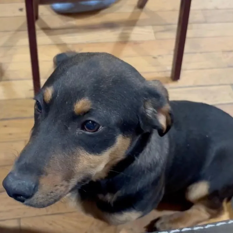 Costanza thumbnail 3