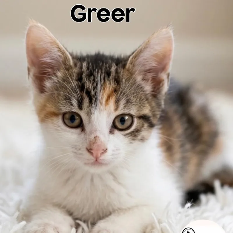 Greer