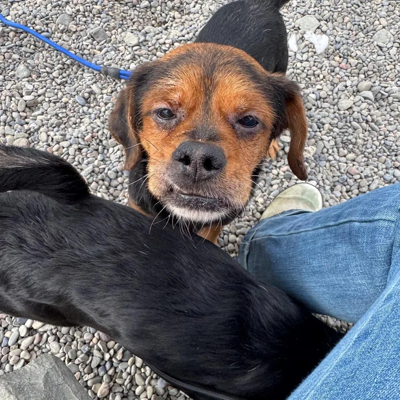 Jalapeno thumbnail 2