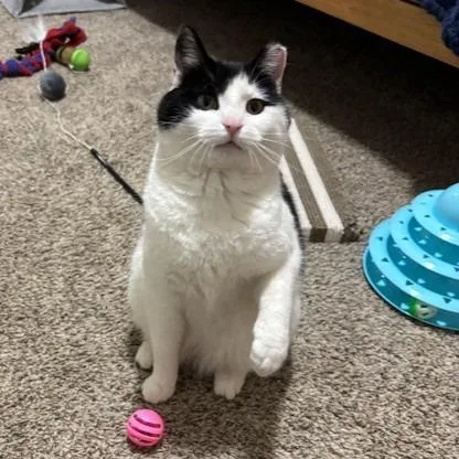 Bonnie C thumbnail 2