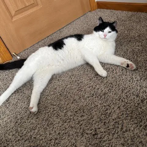 Bonnie C thumbnail 4