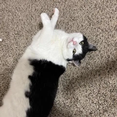 Bonnie C thumbnail 6