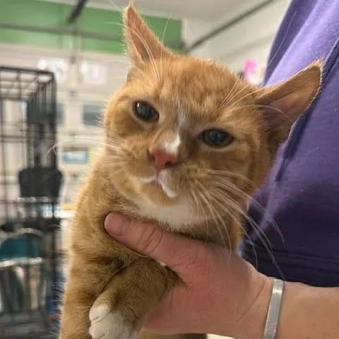 Socket Set thumbnail 3