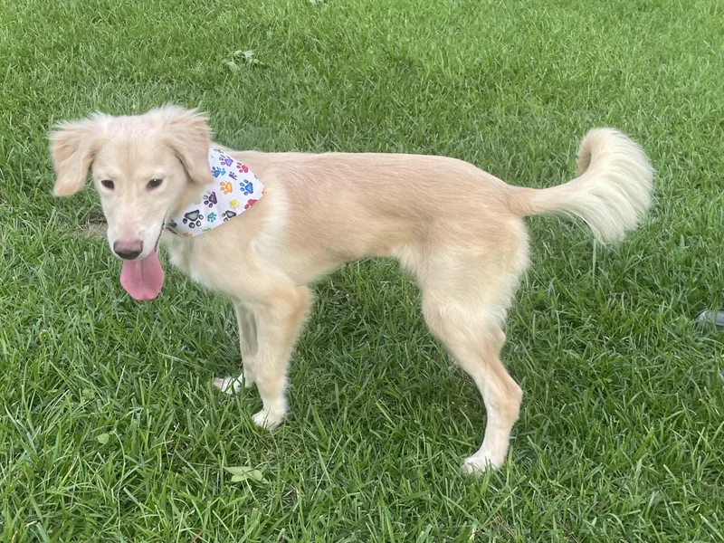 Skye in Texarkana TX thumbnail 4