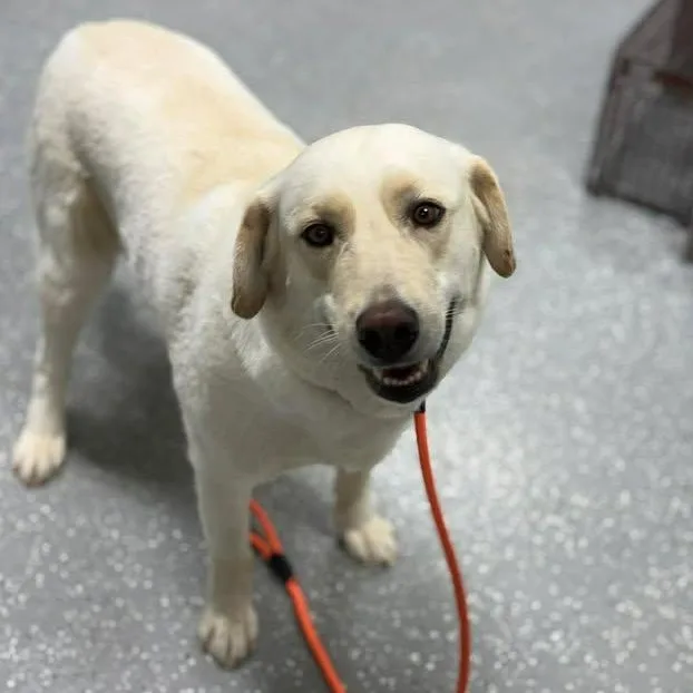 Katie Jo thumbnail 2