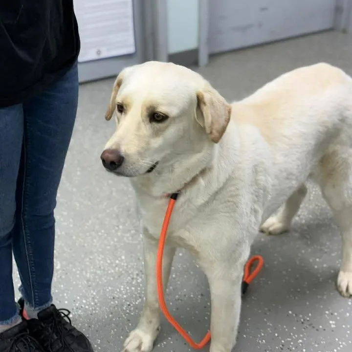 Katie Jo thumbnail 3