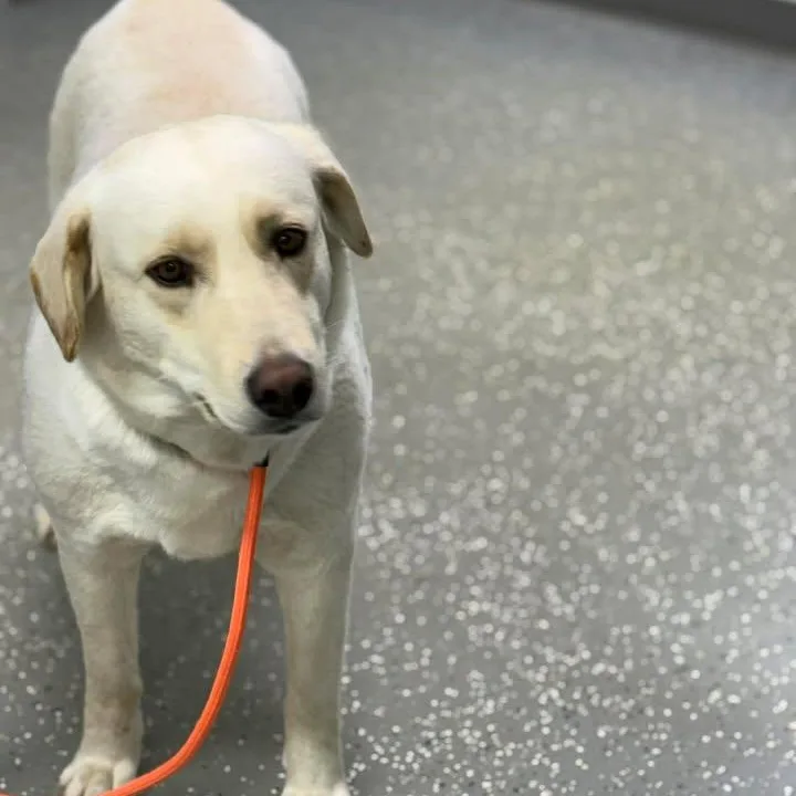 Katie Jo thumbnail 4