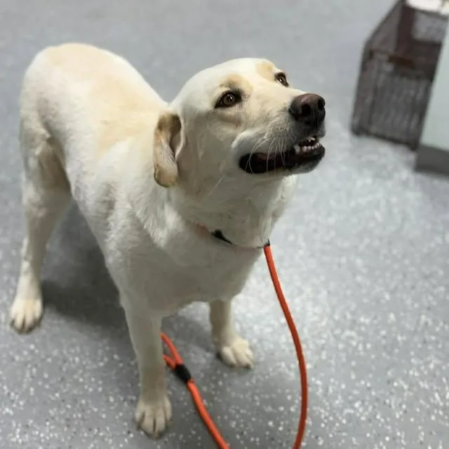 Katie Jo thumbnail 5