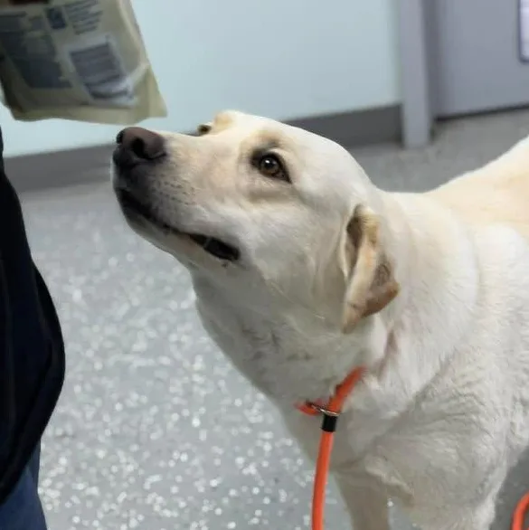 Katie Jo thumbnail 6