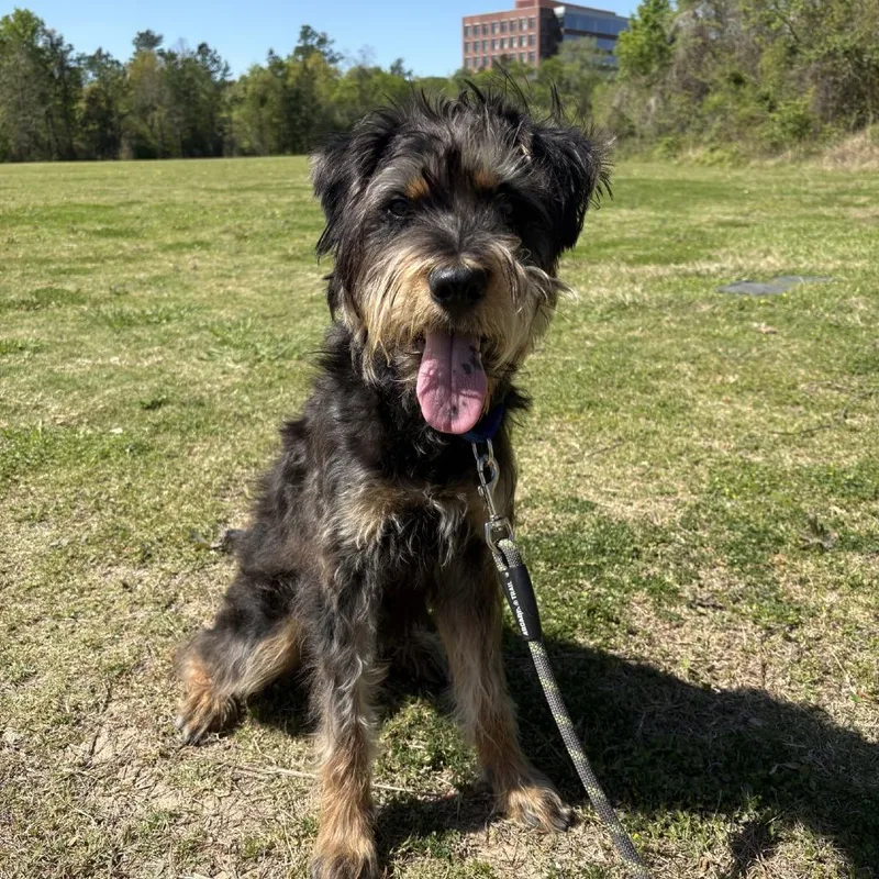 Sophia Coming Soon thumbnail 2