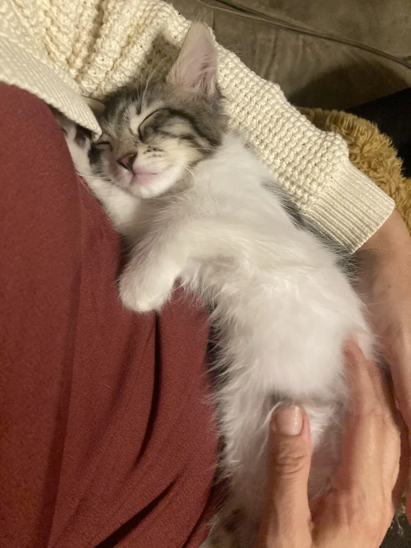 Mable thumbnail 2