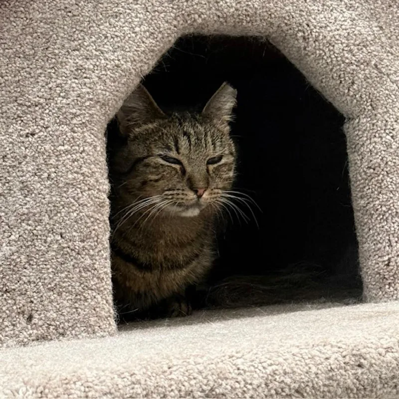 Mama Sue thumbnail 2