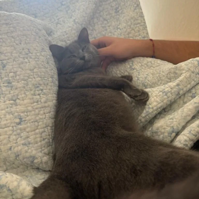 Moonstone thumbnail 2