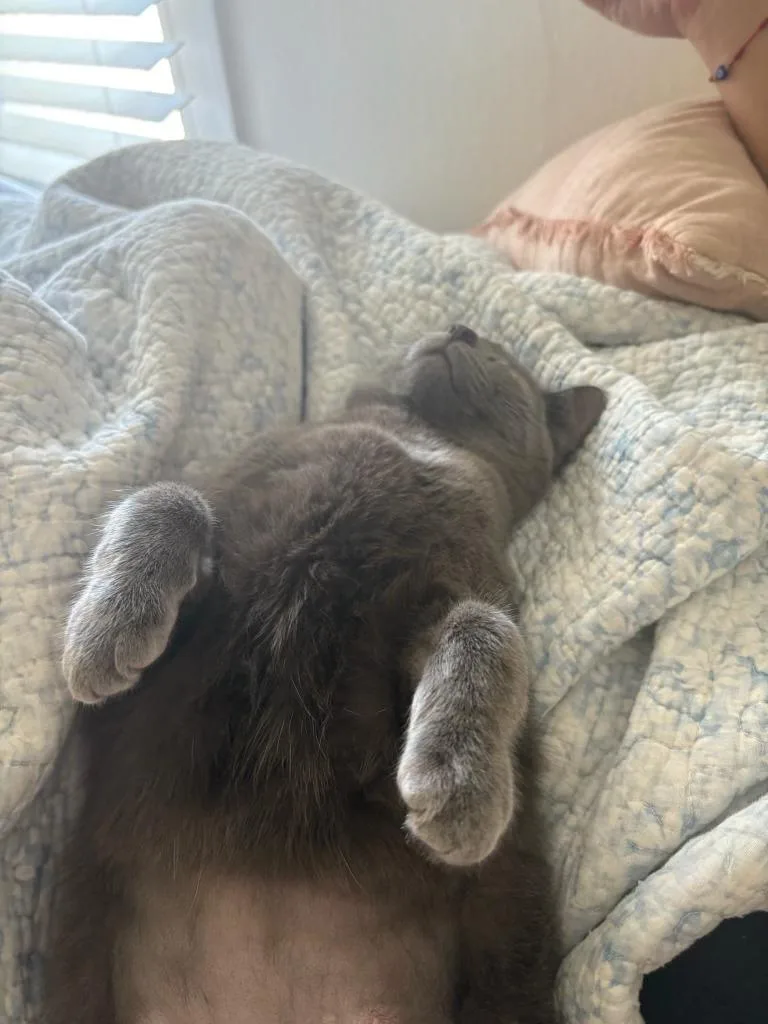 Moonstone thumbnail 3