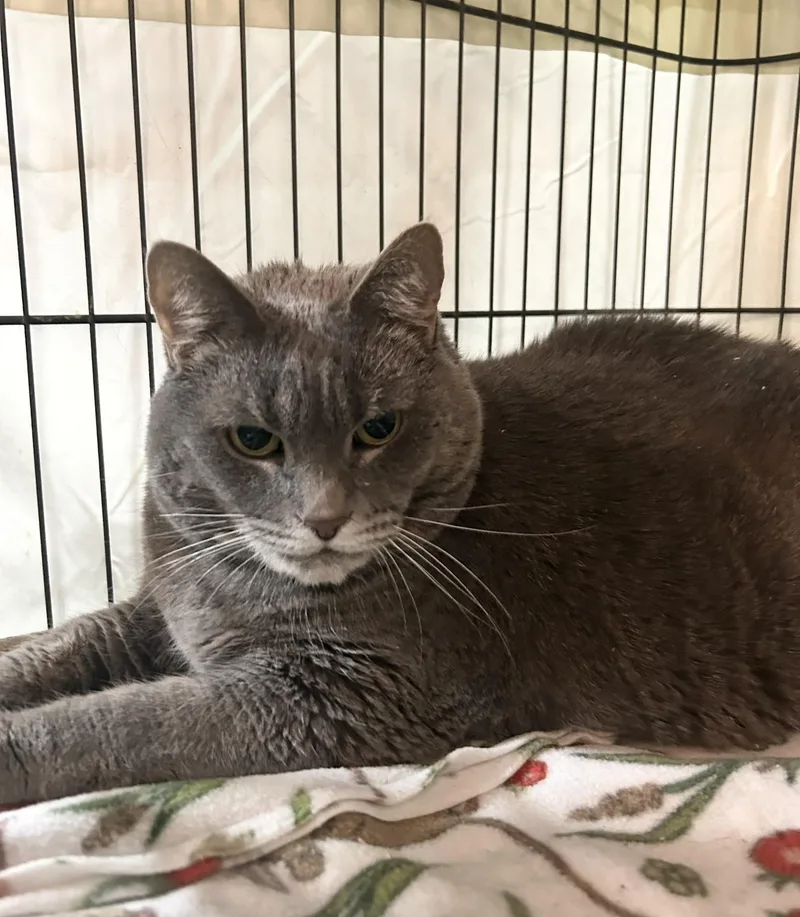 Flarey & Ashy thumbnail 2