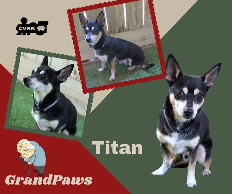 Titan