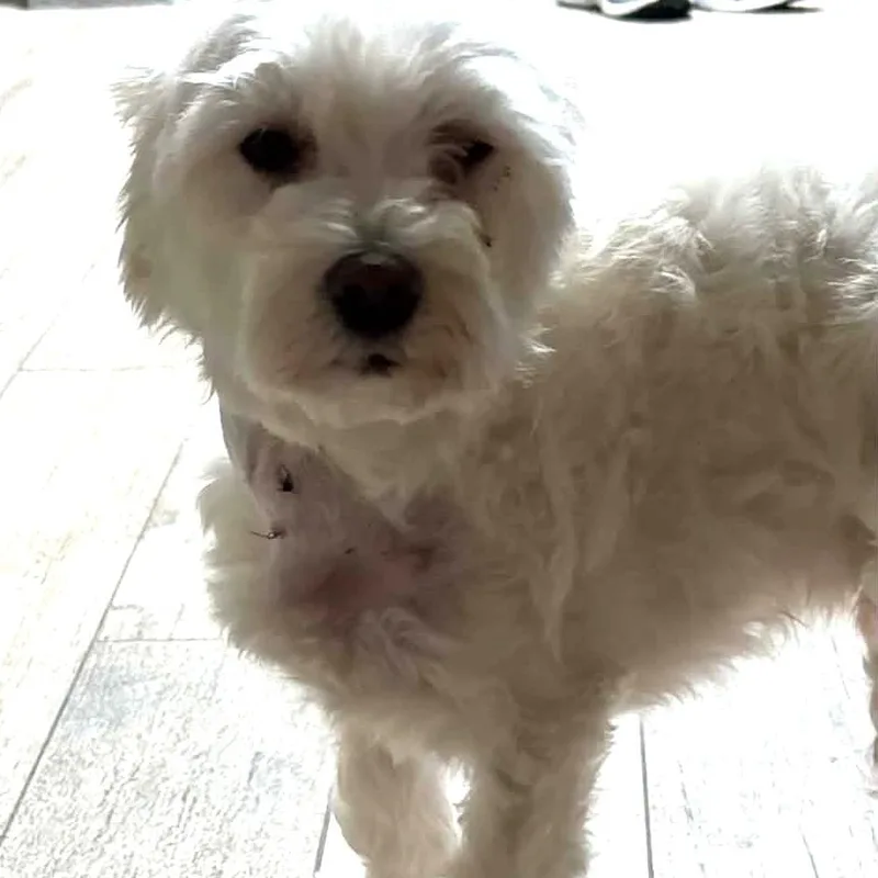 Benson thumbnail 2