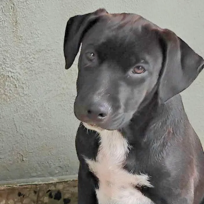 Negra "love Me Today!"