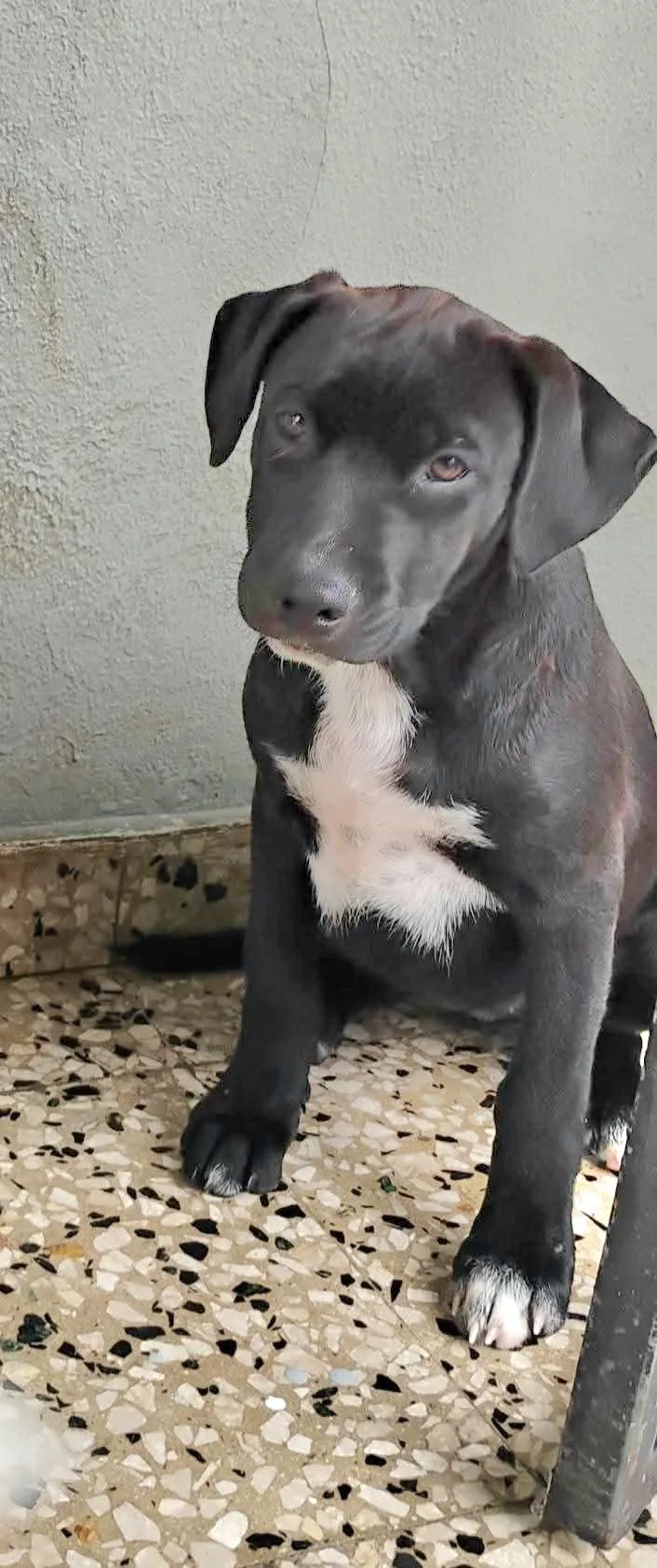 Negra "love Me Today!" thumbnail 2