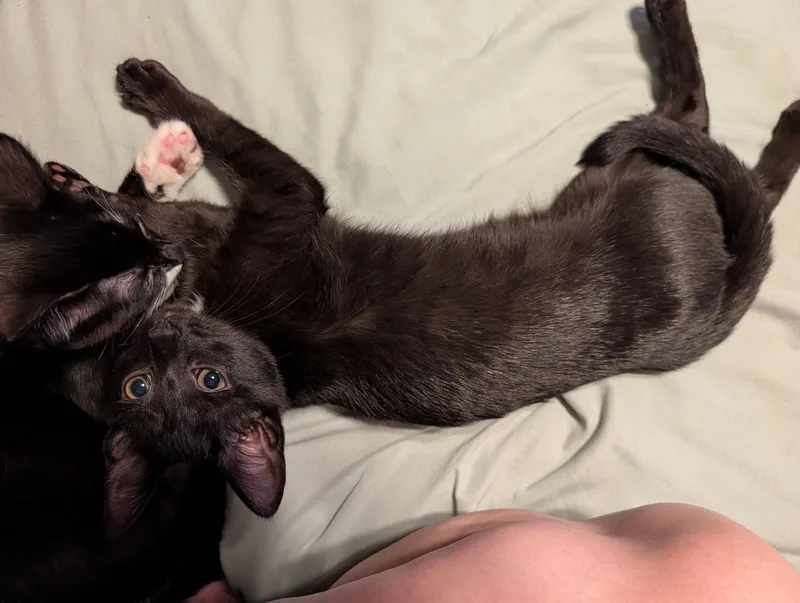 Salem