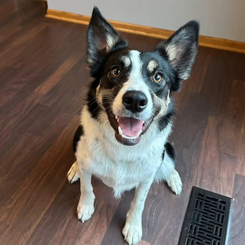 Audreyhome Visit In Process thumbnail 2