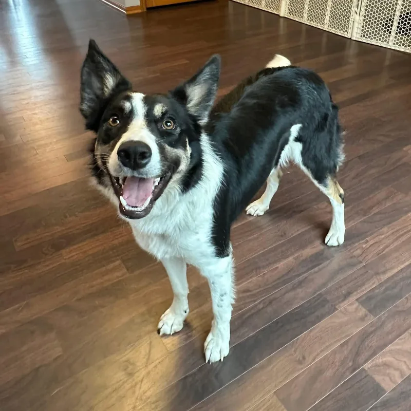 Audreyhome Visit In Process thumbnail 4