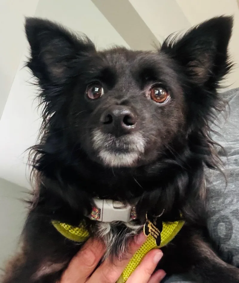 Tito