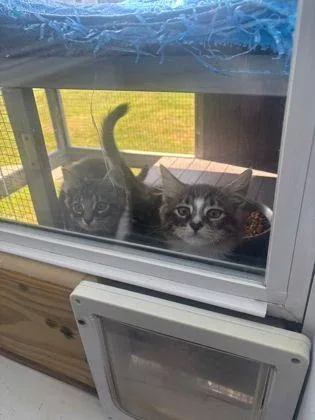Niko & Betsy