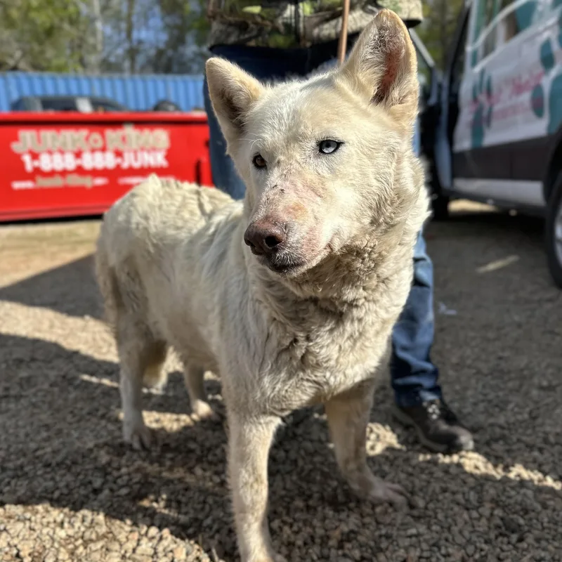 Tap Water thumbnail 2