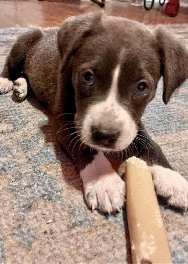 Fiona